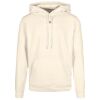 Basic hoodie Thumbnail